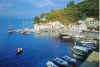 Paxos